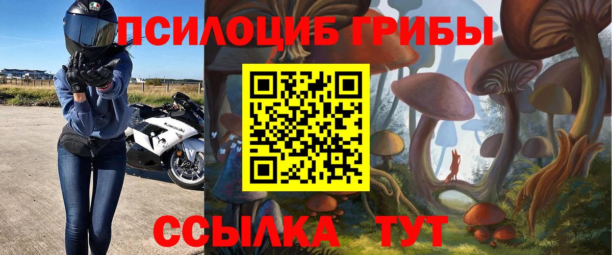 Галлюциногенные грибы GOLDEN TEACHER Семилуки